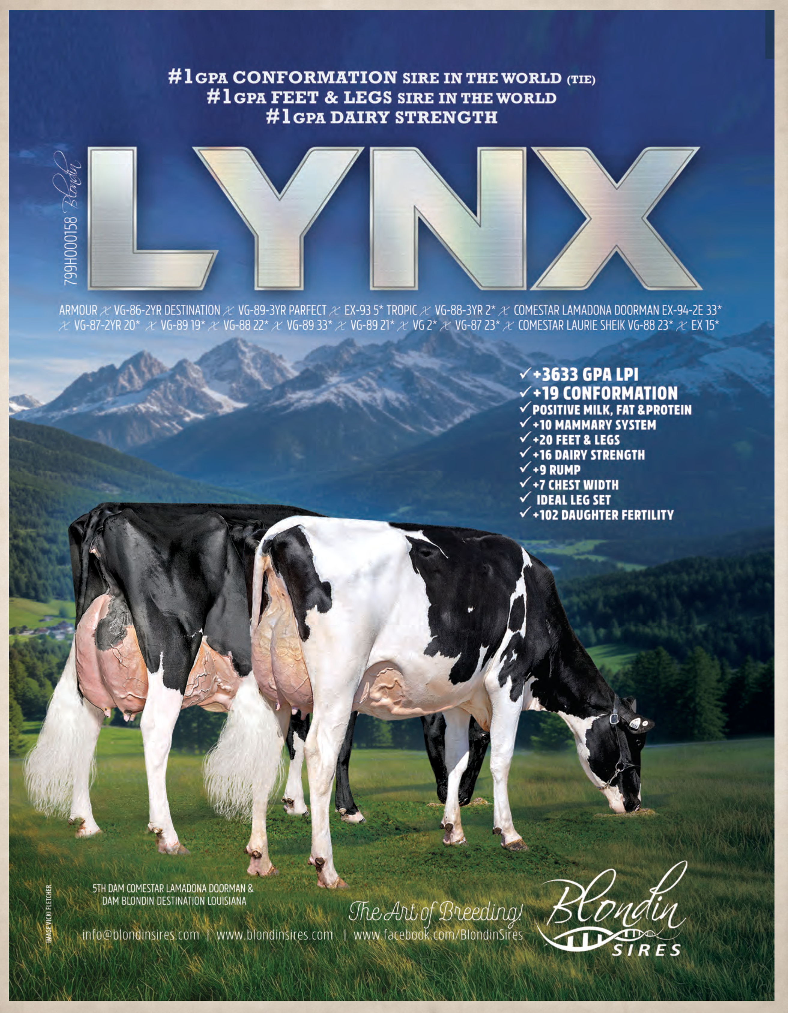 LYNK — 799HO00158